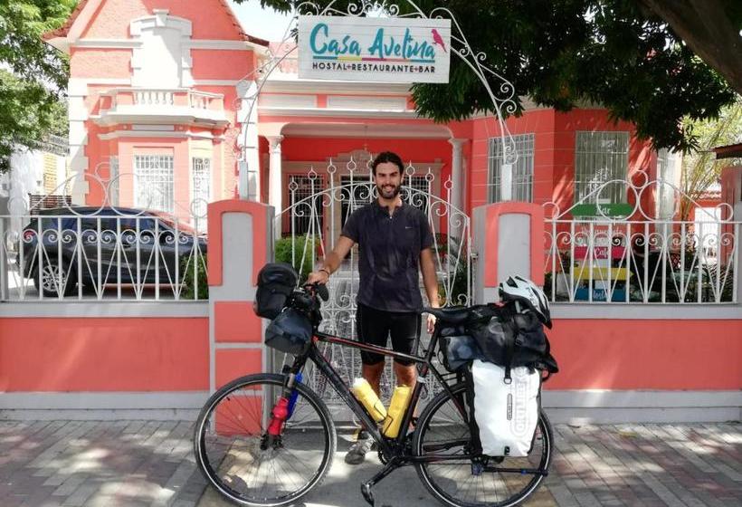 ホテル Casa Avelina Boutique Hostel