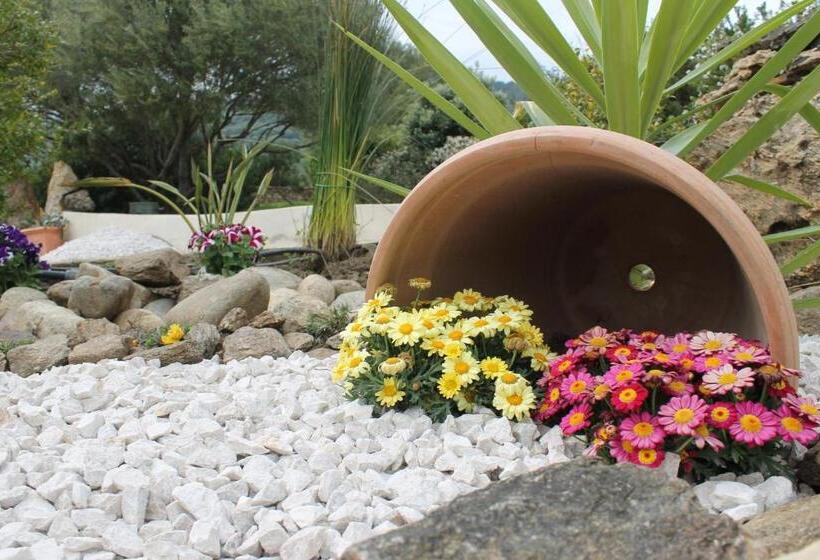 Отель Maria Caderina Green Village