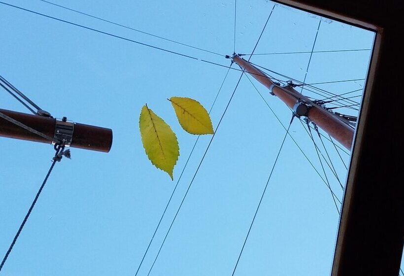 בית מלון כפרי M/s Monika