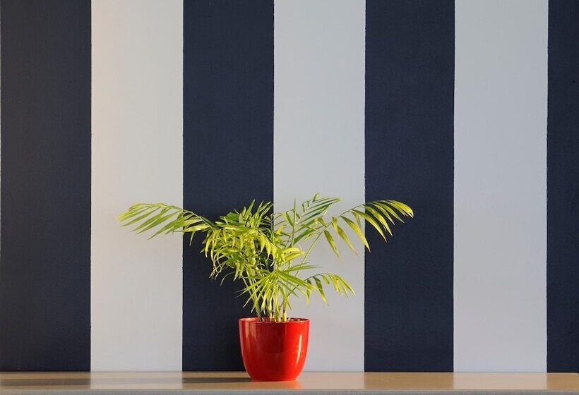 Hotel Oyster Box Guesthouse