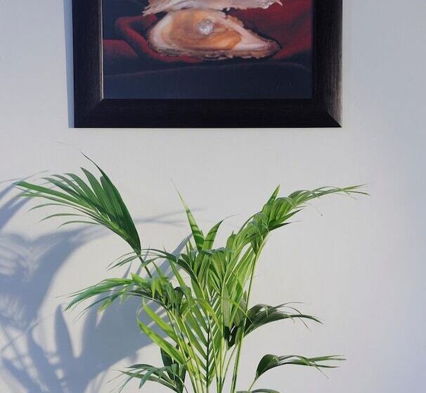 Hotel Oyster Box Guesthouse