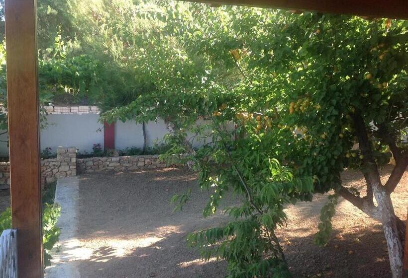 ホテル Petras Beach