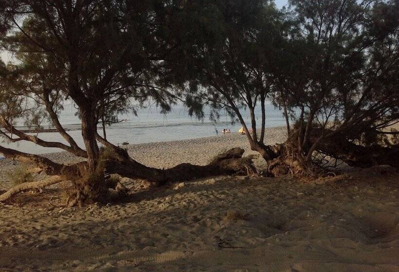 ホテル Petras Beach