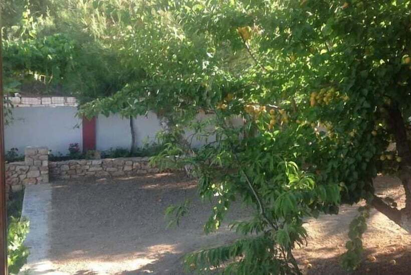 ホテル Petras Beach