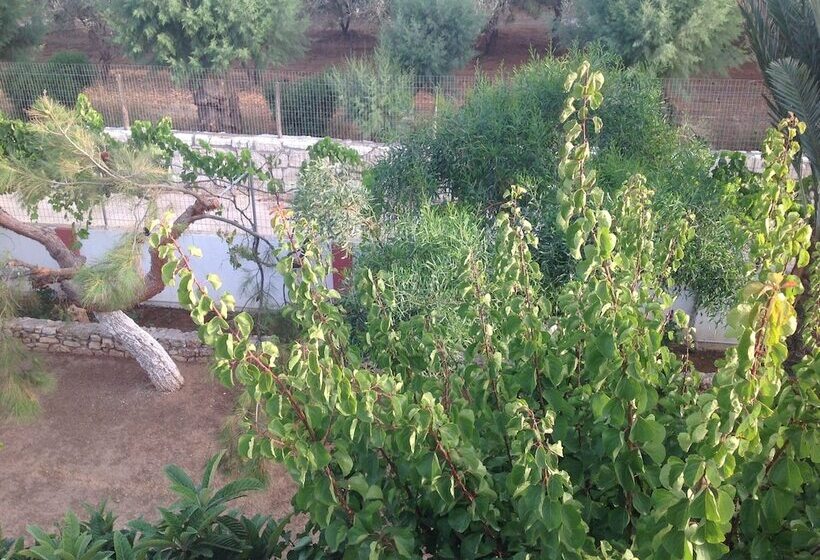 ホテル Petras Beach