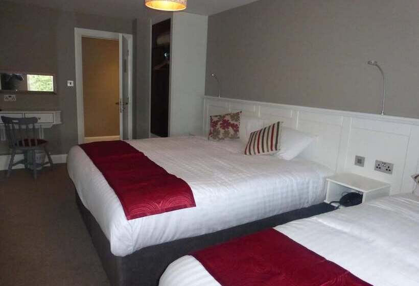 בית מלון כפרי Ryan S