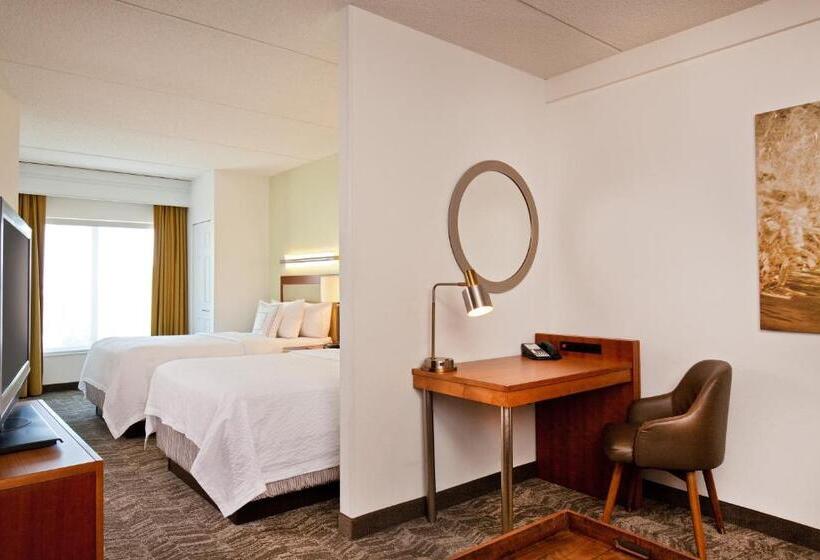 هتل Springhill Suites Chesapeake Greenbrier