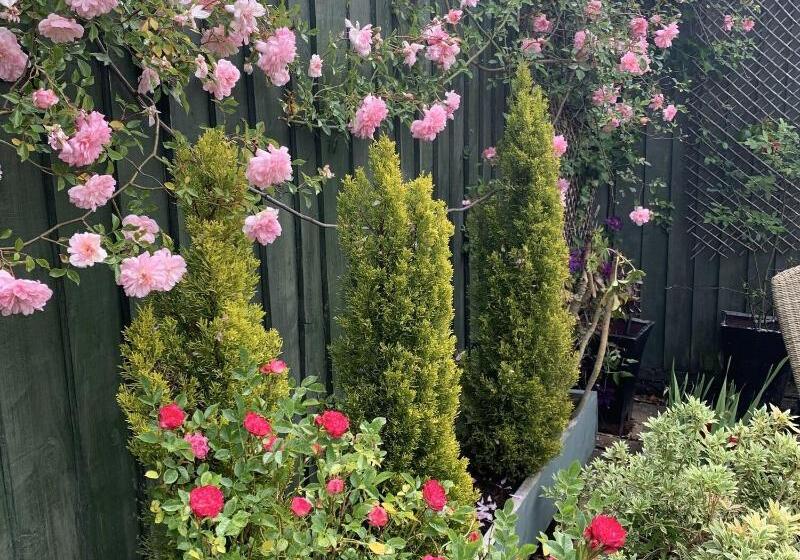 בית מלון כפרי The Ormond At Tetbury