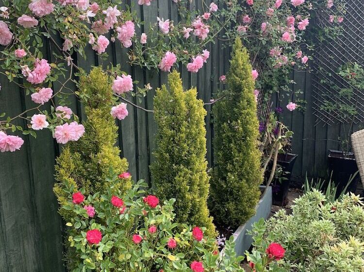 בית מלון כפרי The Ormond At Tetbury