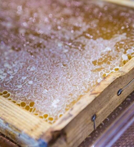 酒店 Tourist Boutique