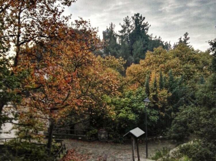 בית מלון כפרי Viraggas