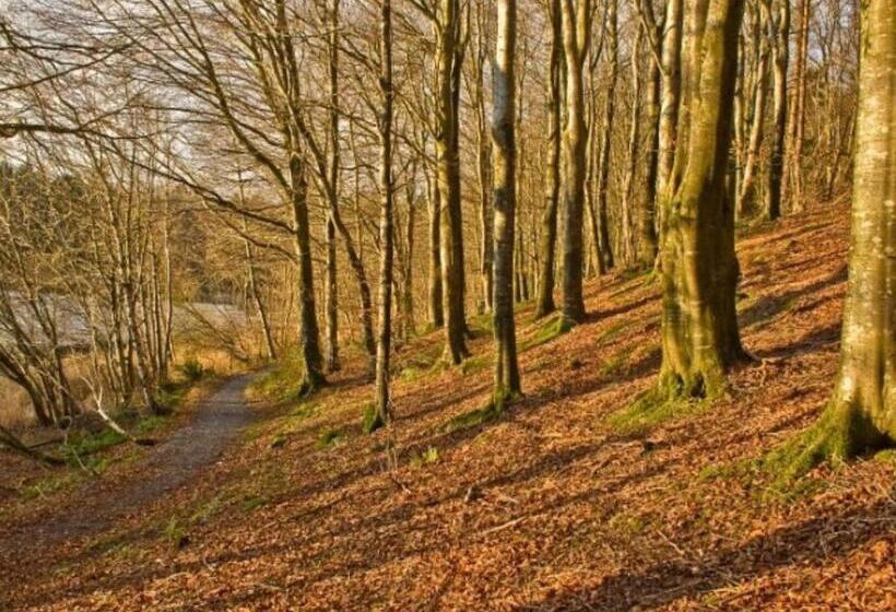 Killyliss Country House B&b