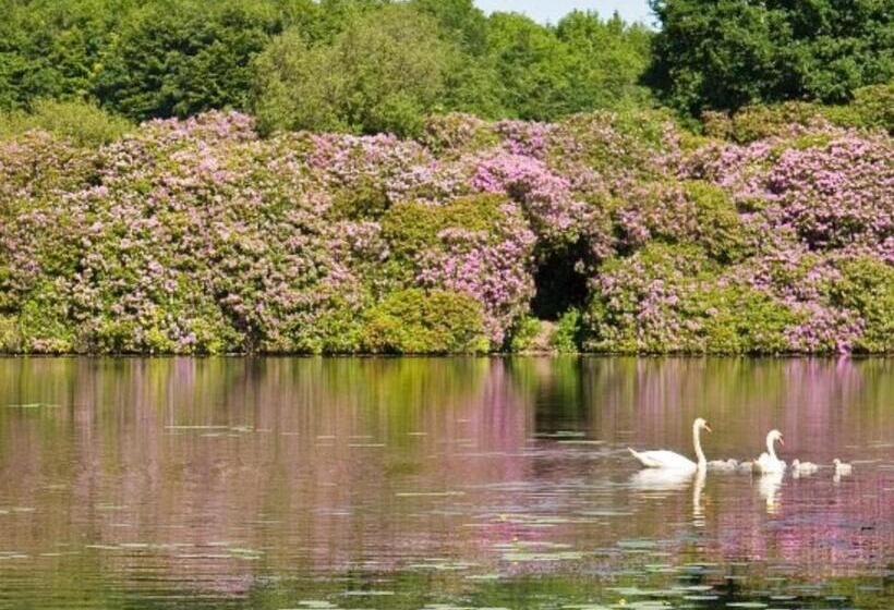 Killyliss Country House B&b