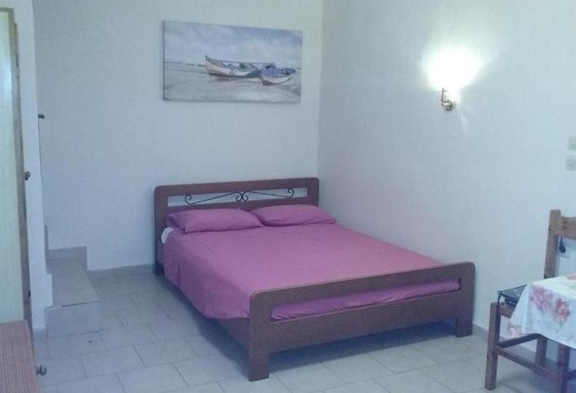 Kitesurf Paradise Studios