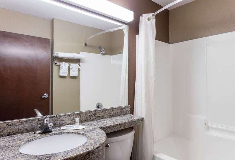 Microtel Inn & Suites By Wyndham Macon