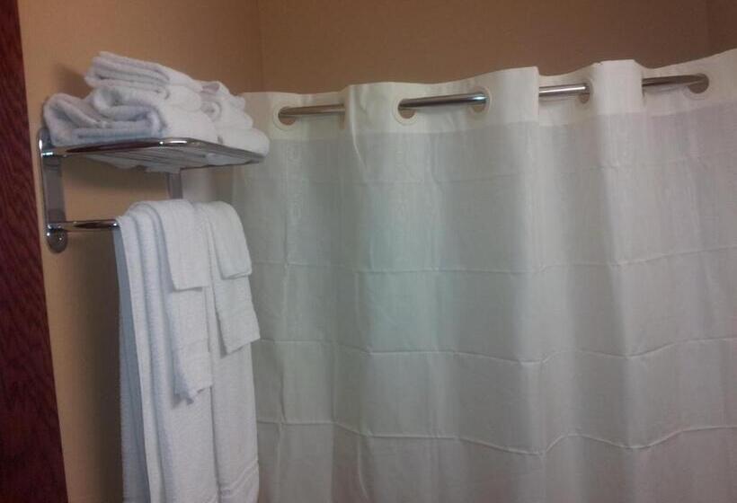 Microtel Inn By Wyndham Rogers