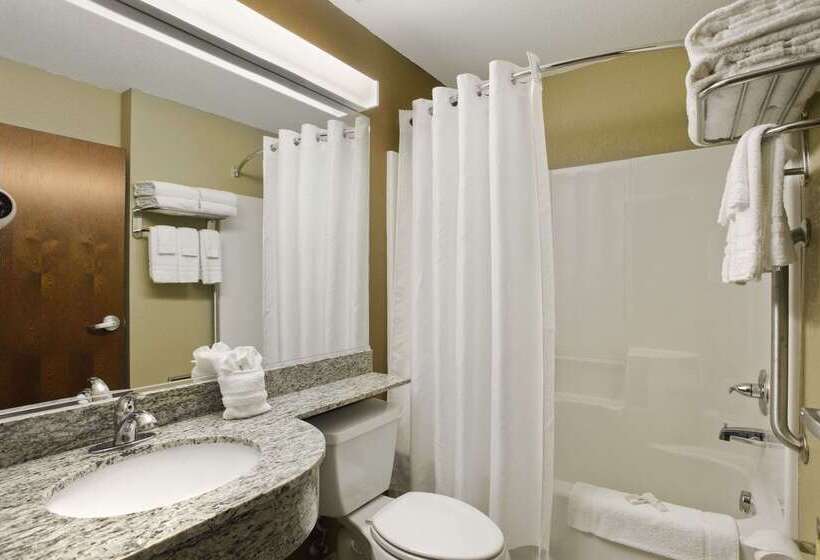 Microtel Inn & Suites By Wyndham Williston