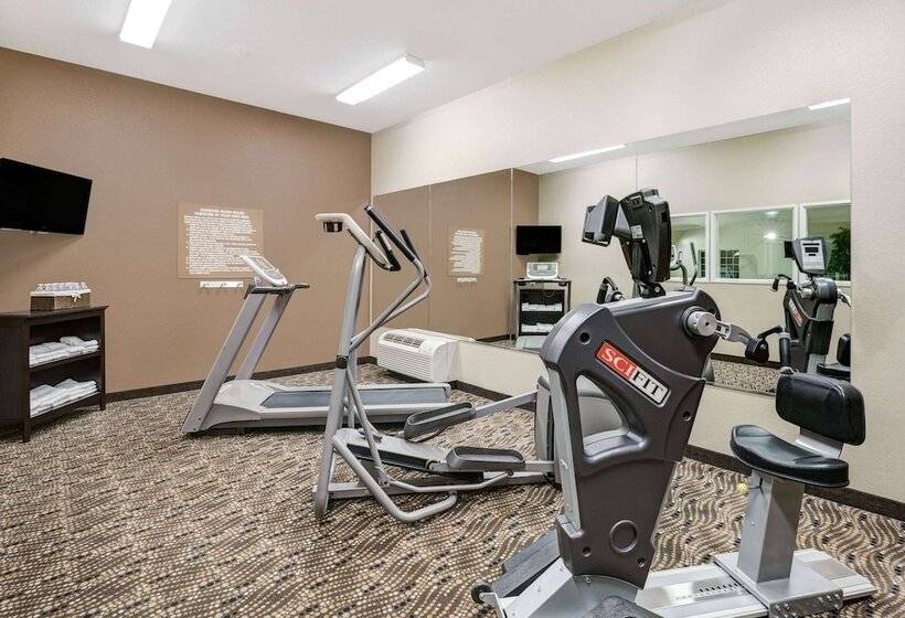 Microtel Inn & Suites By Wyndham Williston