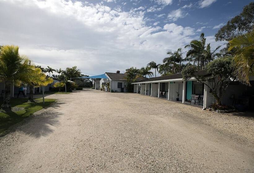 מוטל The Carmel Yamba