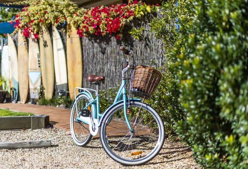 מוטל The Carmel Yamba