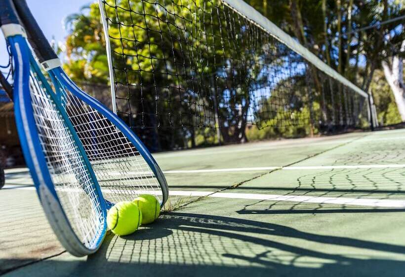 מוטל The Carmel Yamba