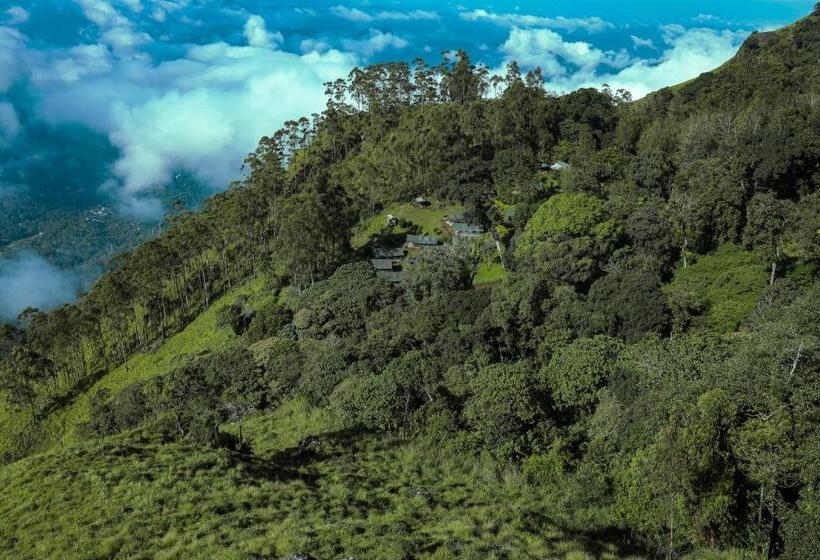 Nature Zone Jungle Resort