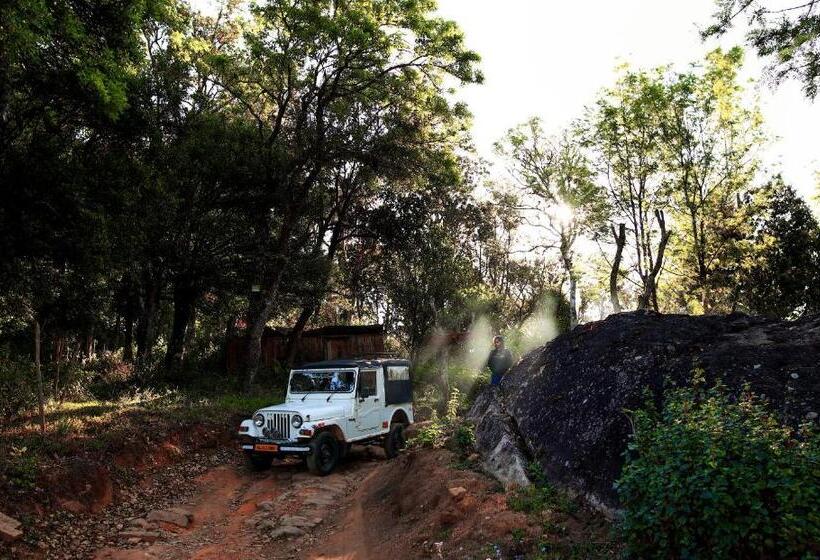 Nature Zone Jungle Resort