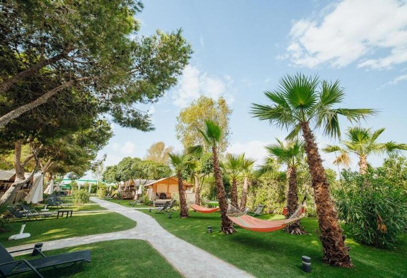 منتجع Alannia Guardamar