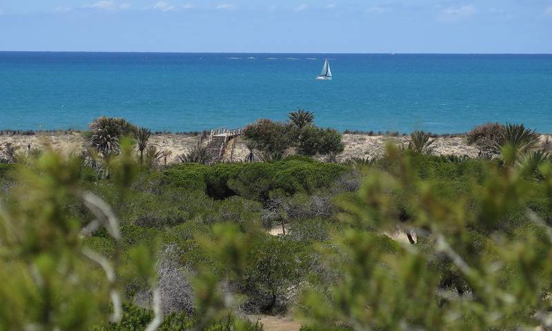 منتجع Alannia Guardamar