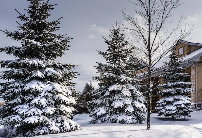 منتجع Georgian Bay Hotel Trademark Collection By Wyndham