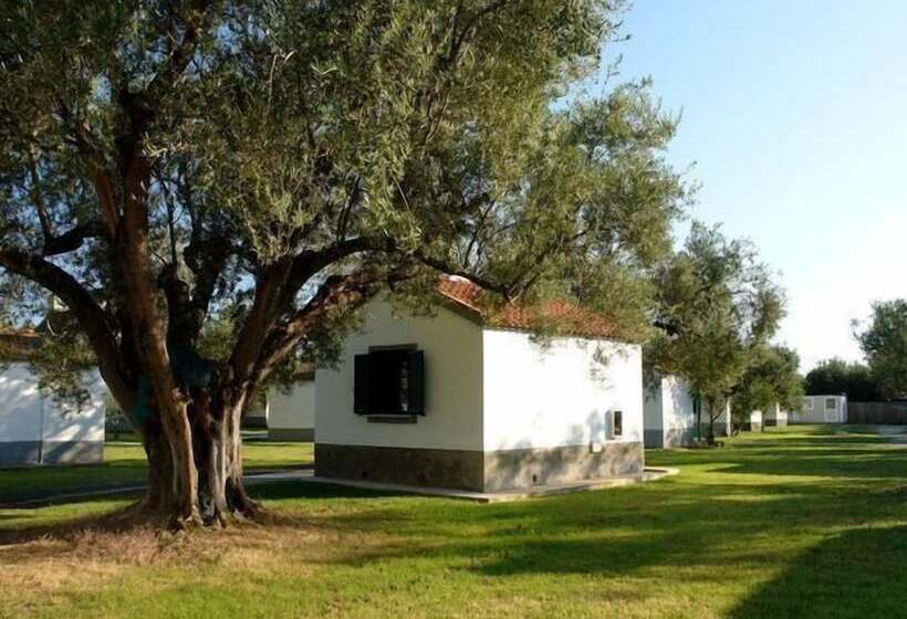 אתר נופש Villaggio Turistico Elea