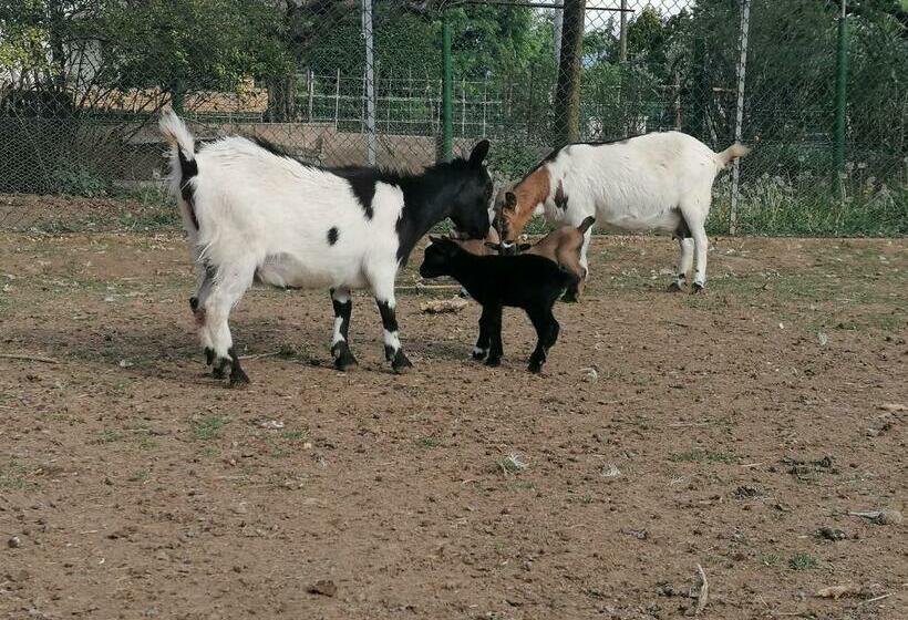 צימר Agriturismo Da Andreina