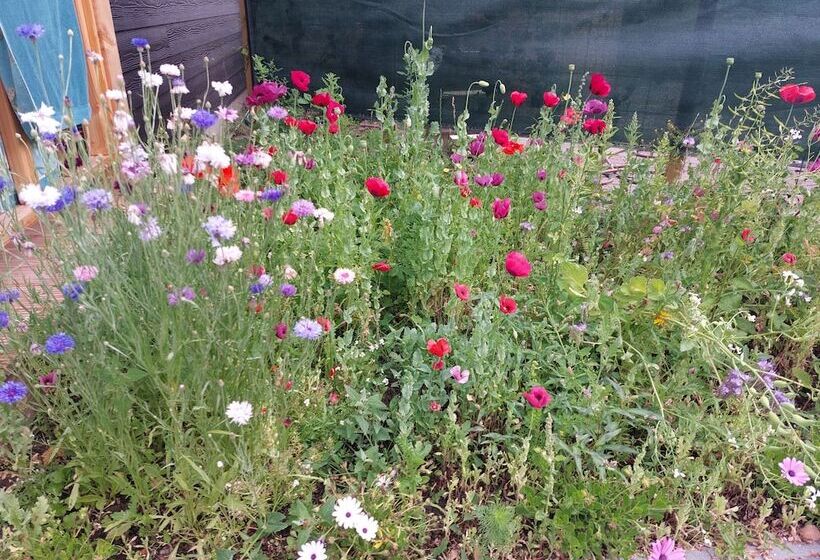 צימר Het Baken Van Tholen