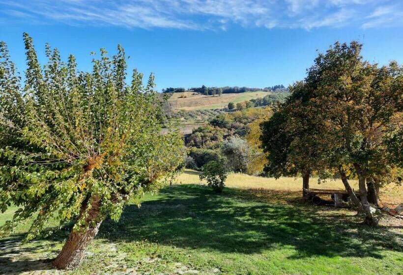 Bed & Breakfast In Vino Veritas