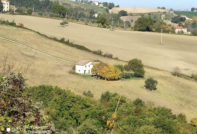 Bed & Breakfast In Vino Veritas