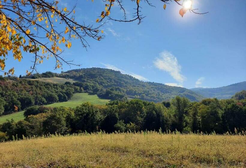 Bed & Breakfast In Vino Veritas