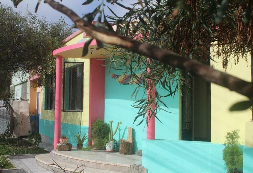 Hostel Posada De Gallo