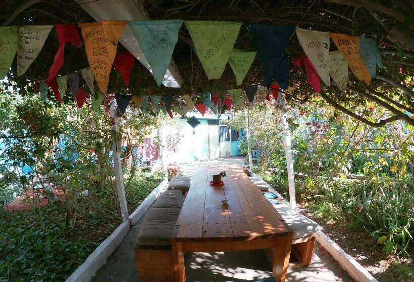 Hostel Posada De Gallo