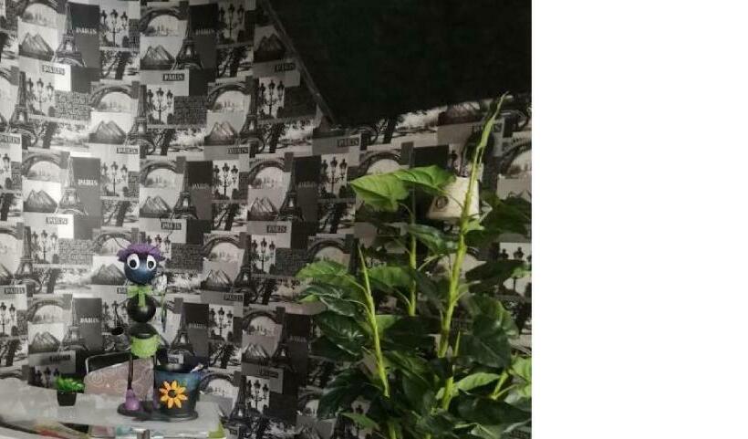 Appart Hôtel Tanger Paname