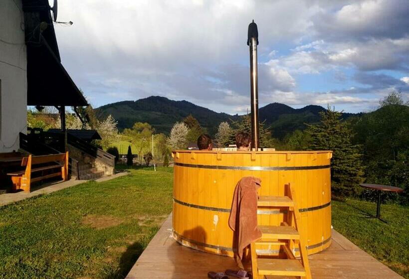 פנסיון Bucovina Montană