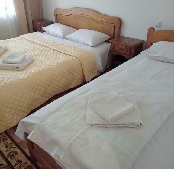 פנסיון Bucovina Montană