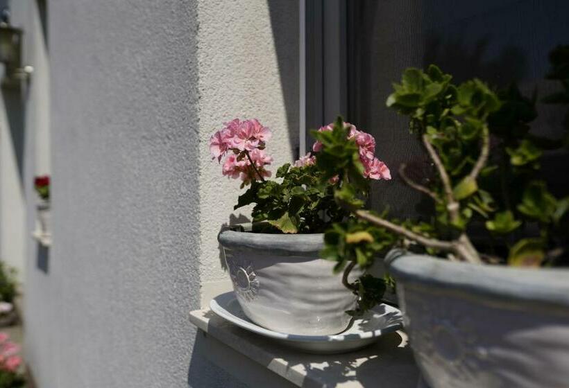 بنسيون Casa Adriana