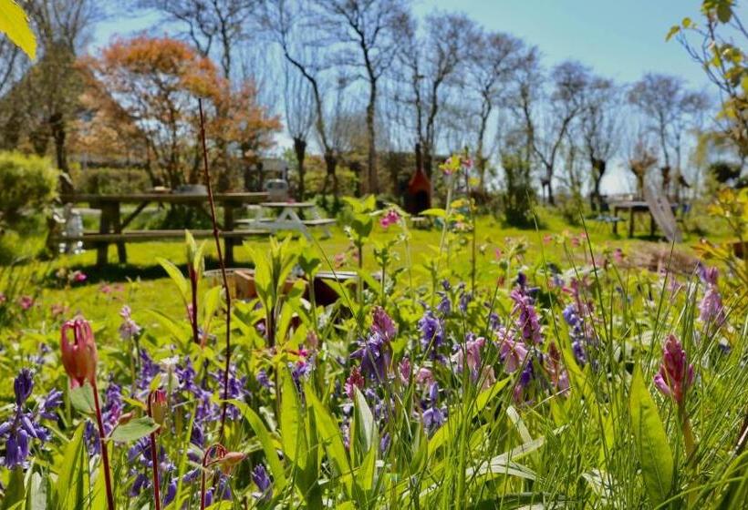 ペンション De Witte Handt