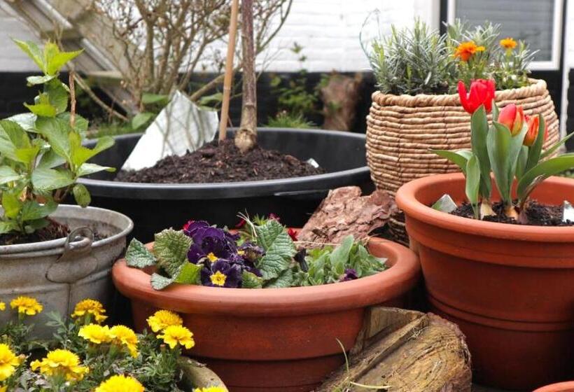 ペンション De Witte Handt