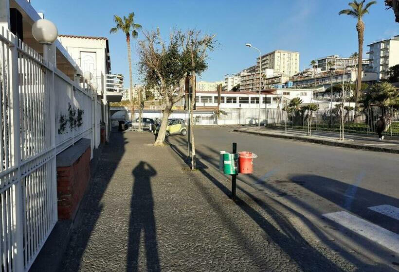 Пансион Domvs 84