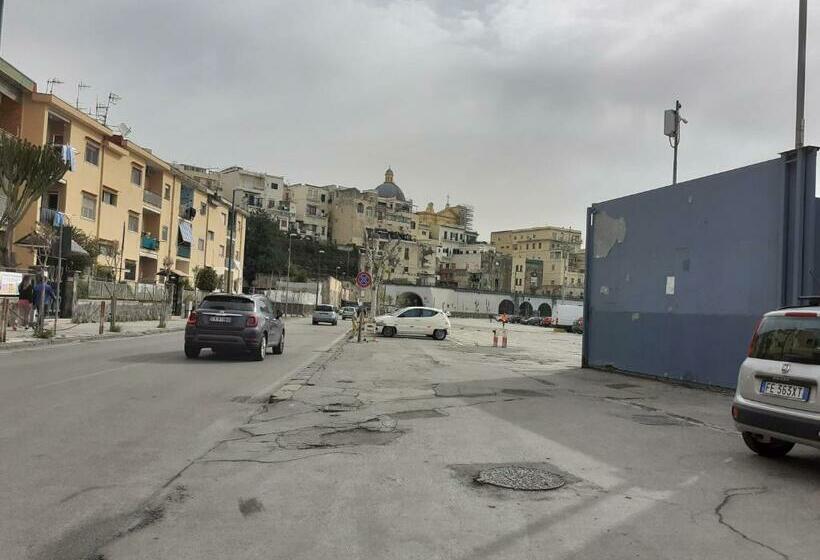 Пансион Domvs 84