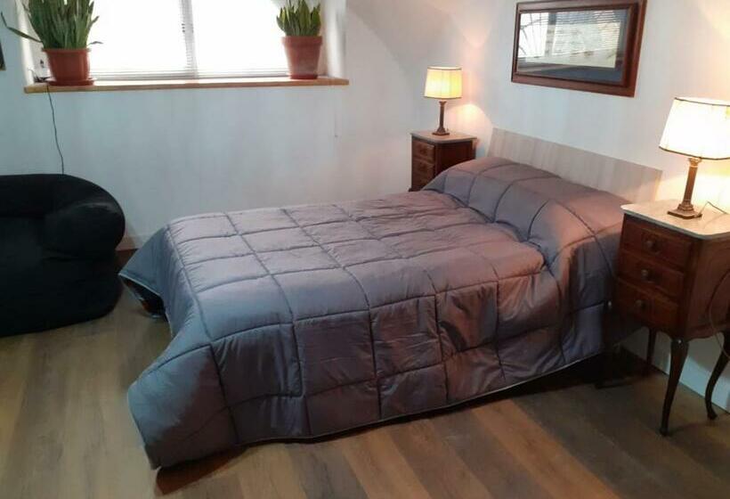 Пансион Domvs 84