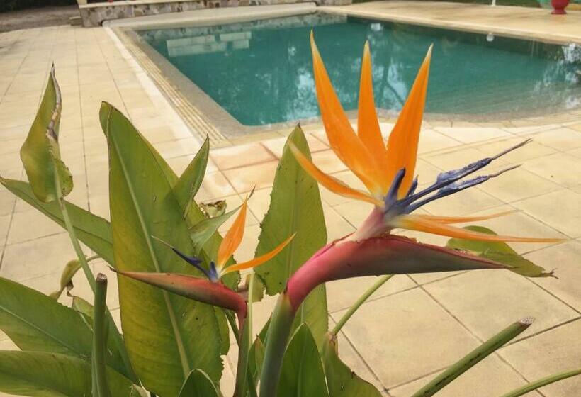 민박 Domaine Sagittaires