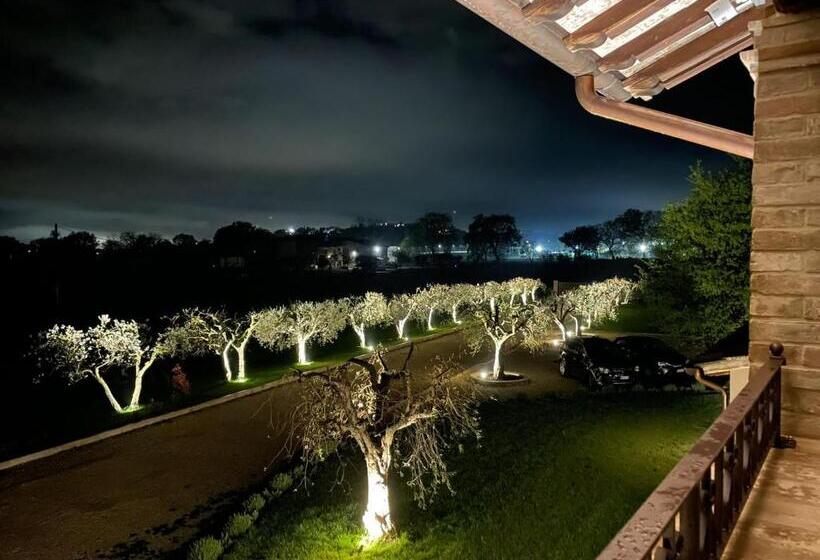 Bed and Breakfast Opera Domini Asisium