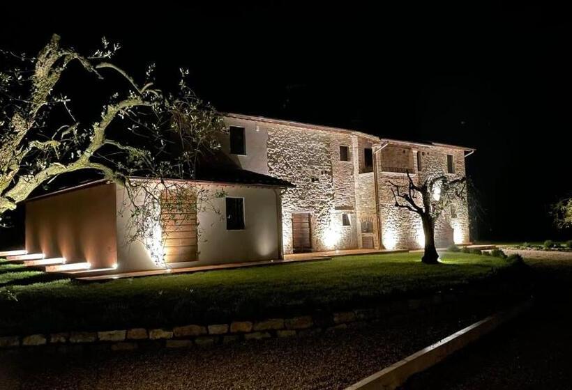 Bed and Breakfast Opera Domini Asisium